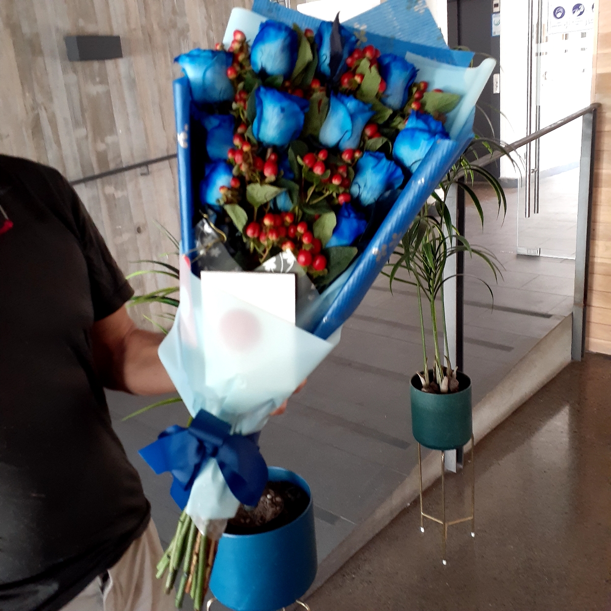 Ramo de rosas extendido con 12 rosas azules e hypericum rojo - Pedido 247754