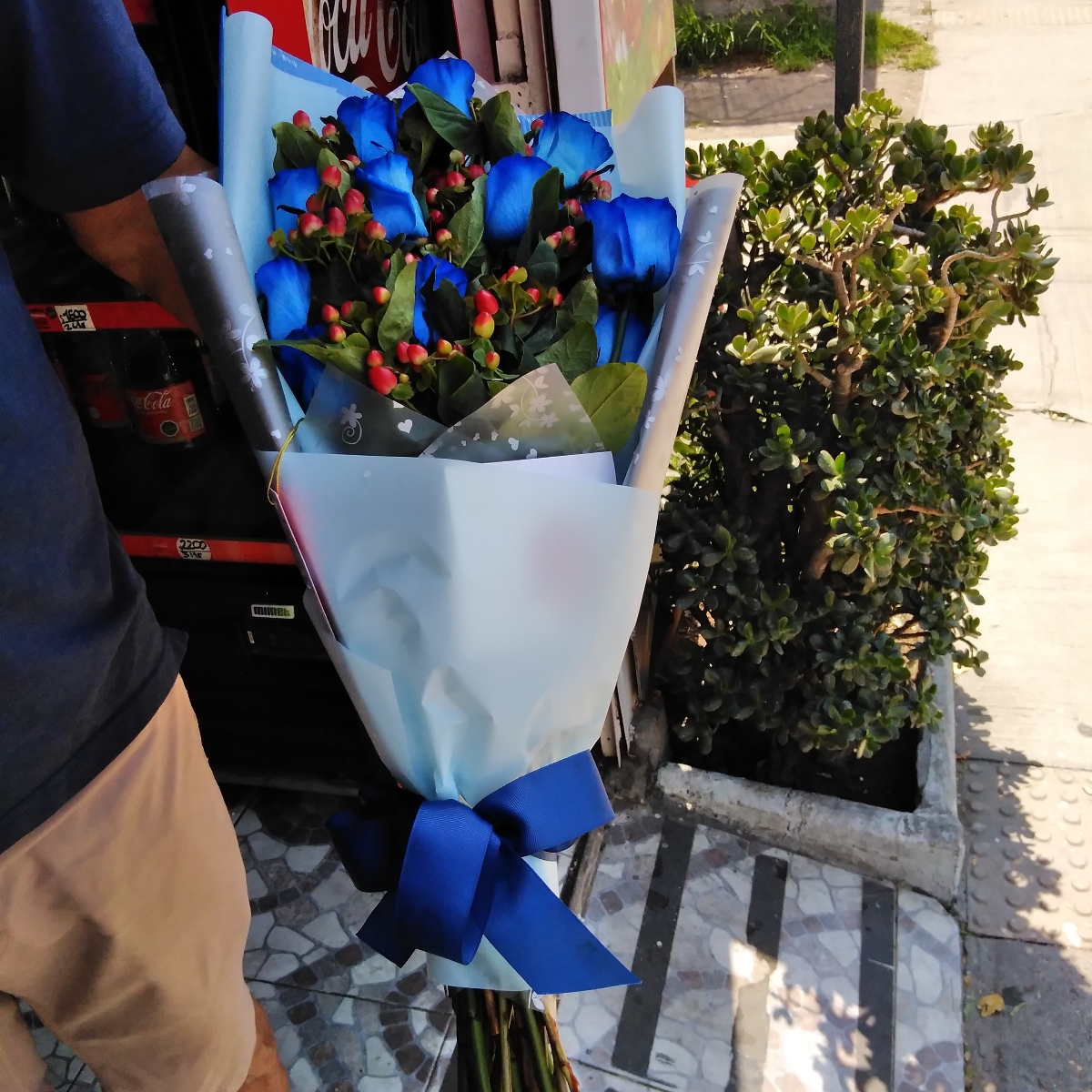 Ramo de rosas extendido con 12 rosas azules e hypericum rojo - Pedido 249405