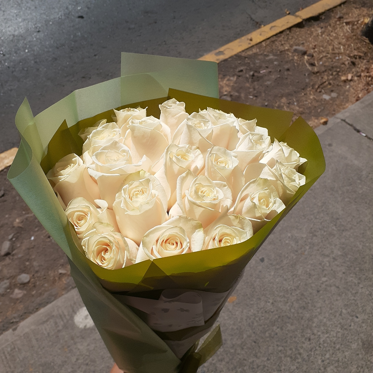 Ramo de rosas - Ramo circular con 24 rosas ecuatorianas blancas - Pedido 250760