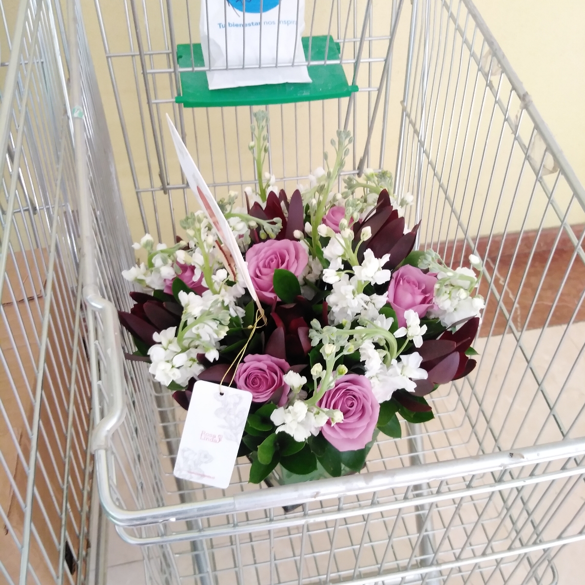 Melissa rosas Lila - Arreglo floral con rosas lilas, leucadendros y alelíes blancos - Pedido 251907