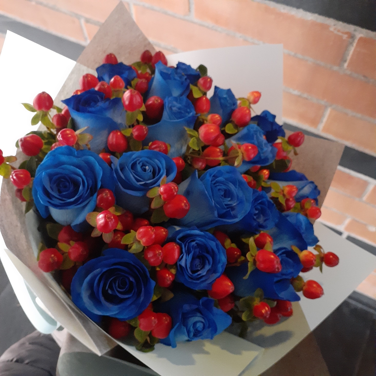 Ramo de rosas - Ramo circular con 18 rosas azules e hypericum rojo - Pedido 252539