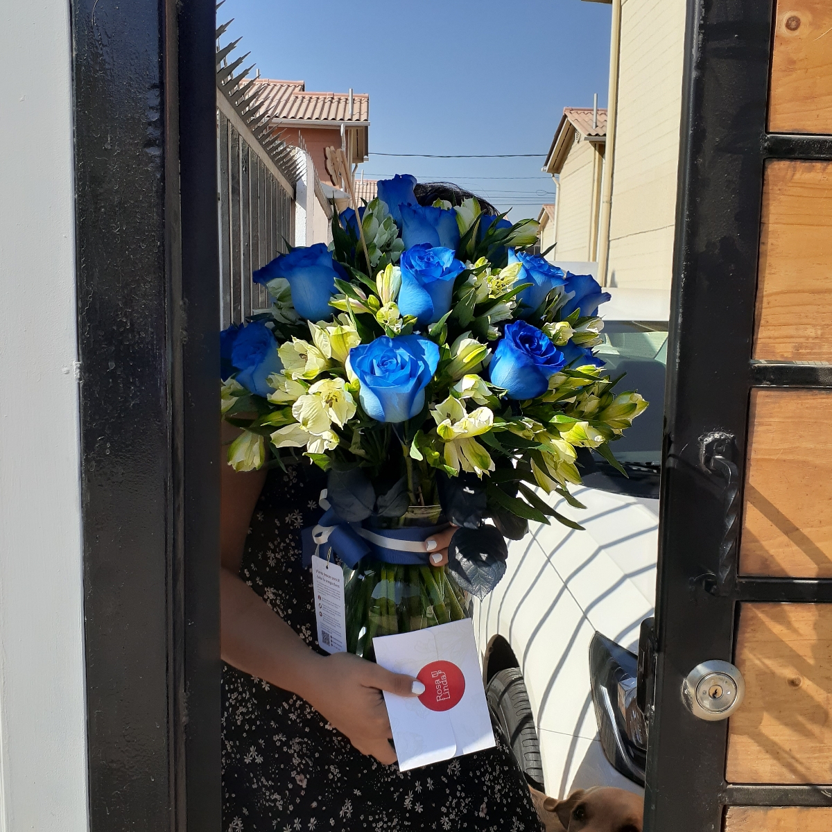 Arreglo floral en florero ánfora con rosas azules y astromelias - Pedido 253560