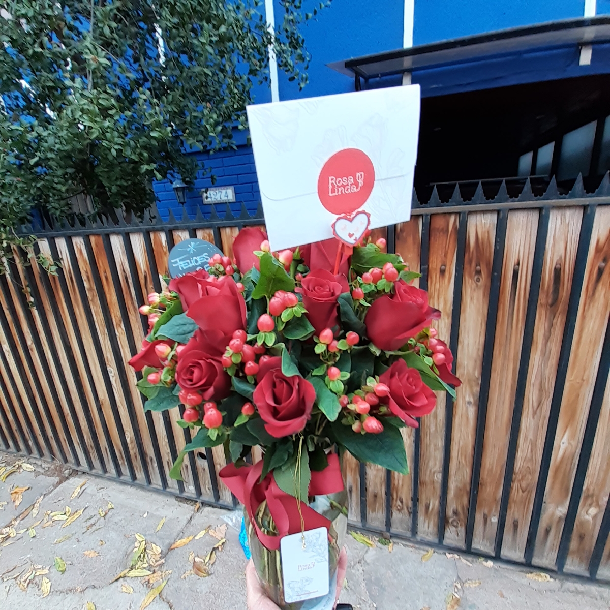 Antonia Rojo - Arreglo floral en florero con 24 rosas rojas e hypericum rojo - Pedido 253623