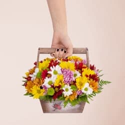 Arreglos florales Foto de Arreglos florales
