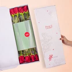 Flowerbox Foto de Flowerbox