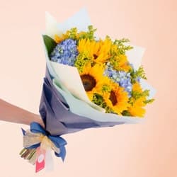 Girasoles Foto de Girasoles