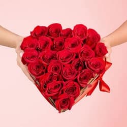 Rosas Rojas Foto de Rosas Rojas